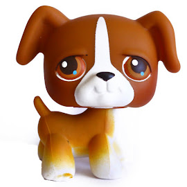 Littlest Pet Shop Singles Boxer (#25) Pet