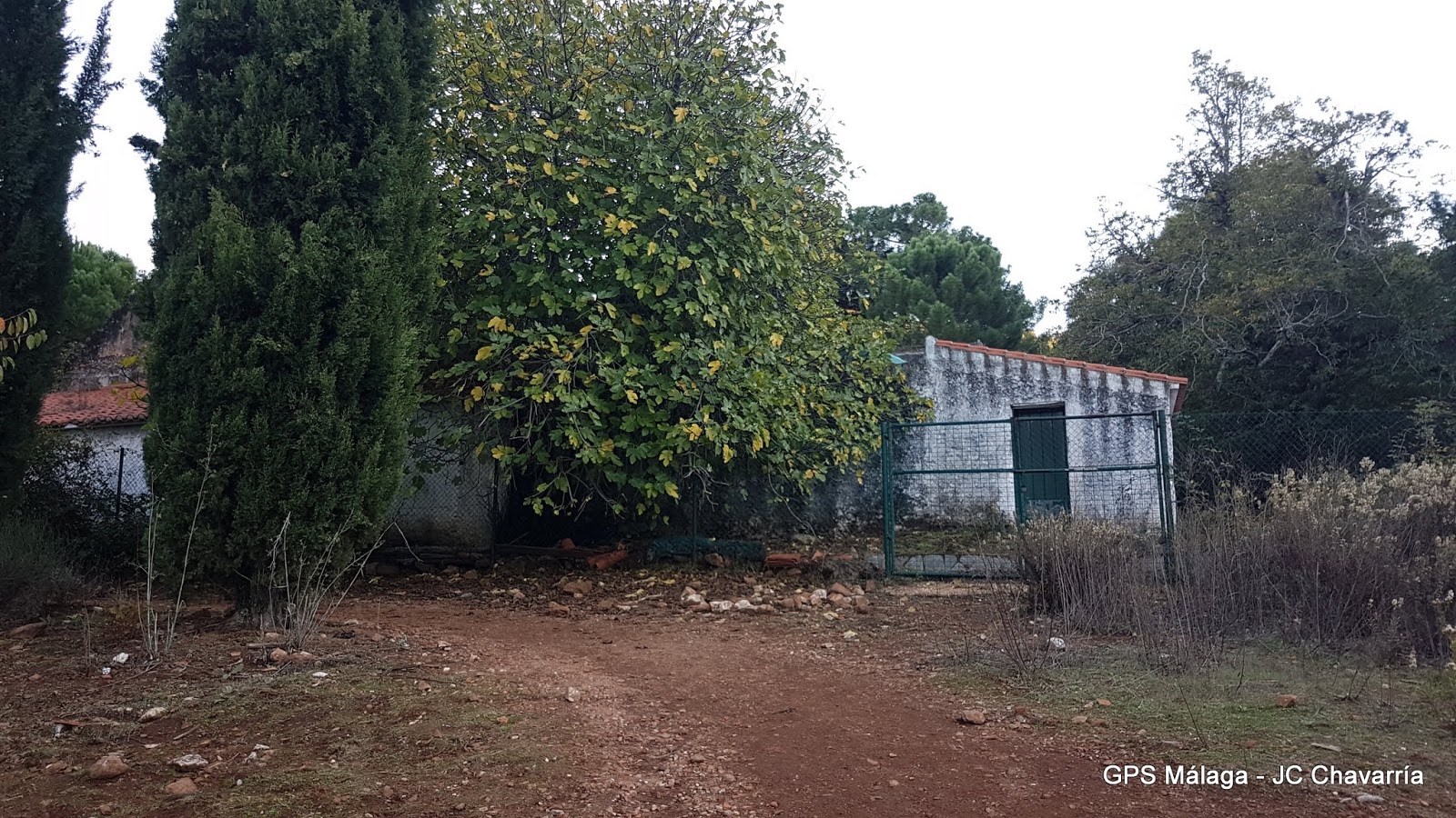 Wikiloc Ruta Circular Juanar Bosque Encantado, Castañas y Miradores