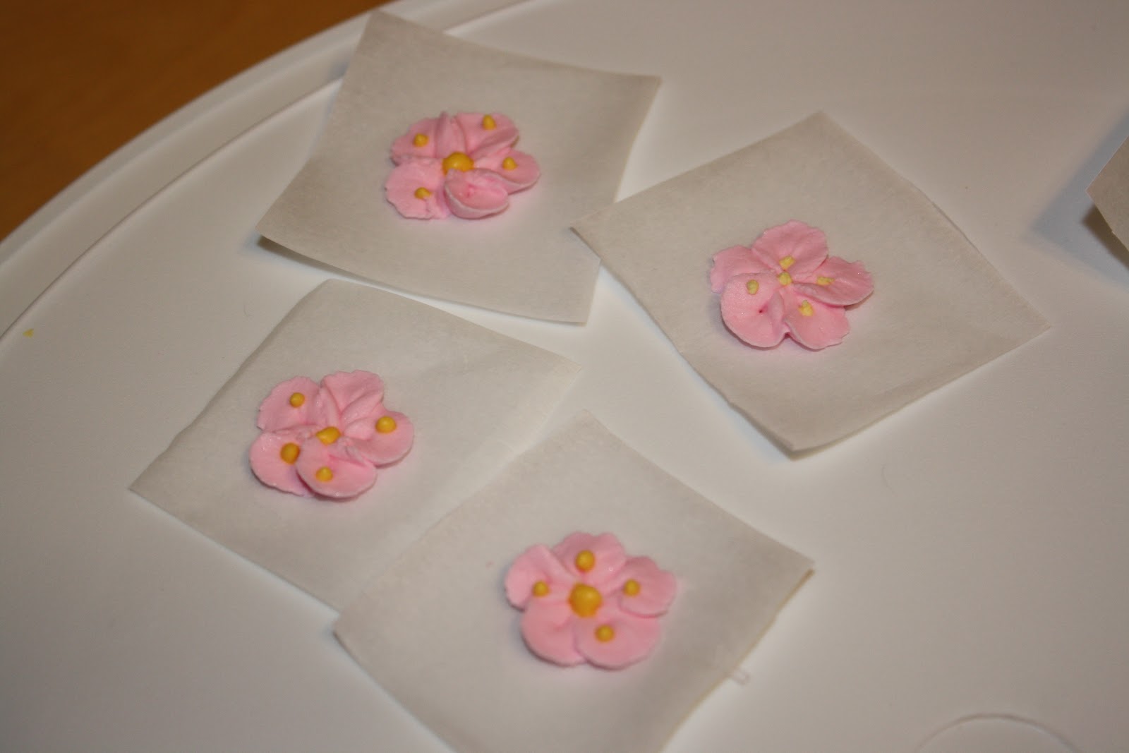 You Want Me to Cook?: Flowers and Cake Design – Class #2