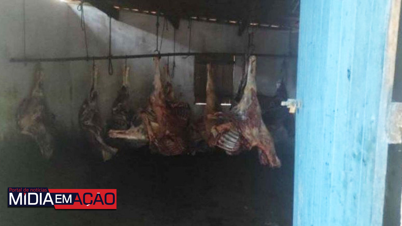 Fiscalização apreende 4 toneladas de carne de cavalo em Limoeiro