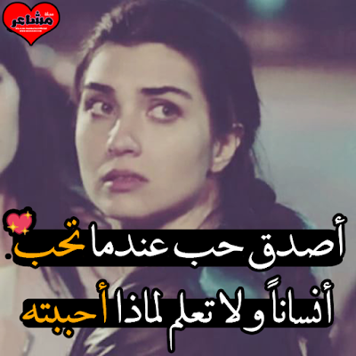 17353143_19482141887