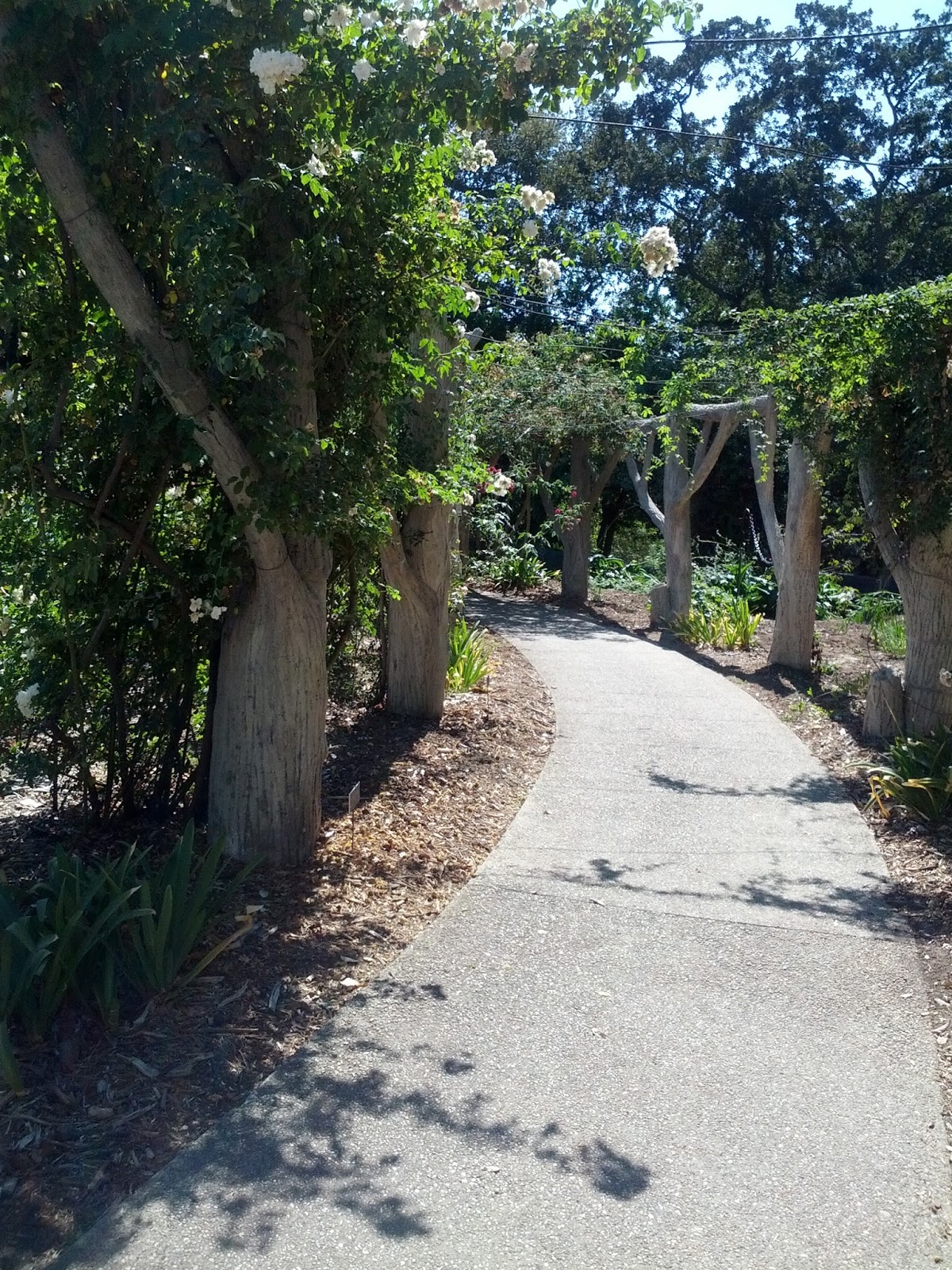 Rikachuuable Huntington Beach Botanical Gardens