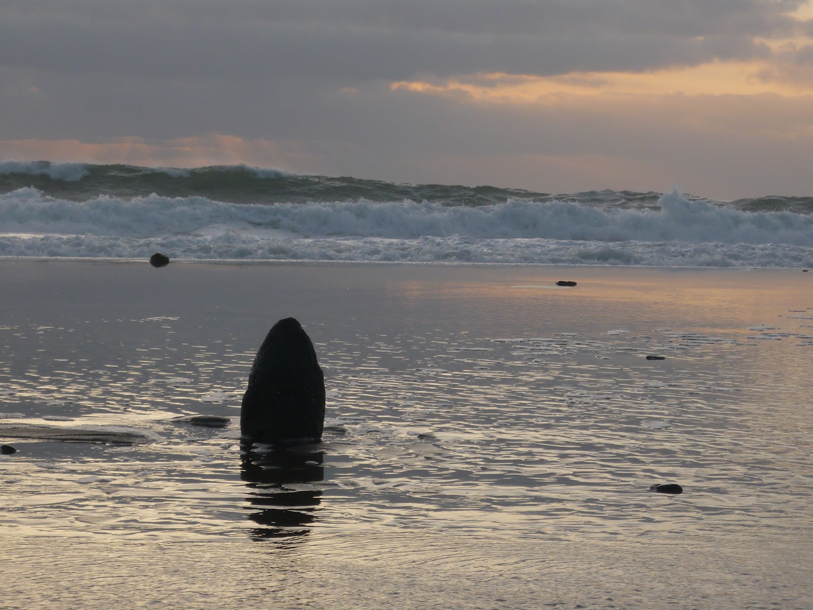 Tidal Art: Wave Blooms