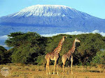 MT KILIMANJARO TANZANIA