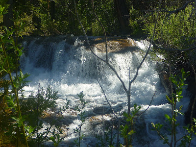 unnamed Pyramic Creek waterfall