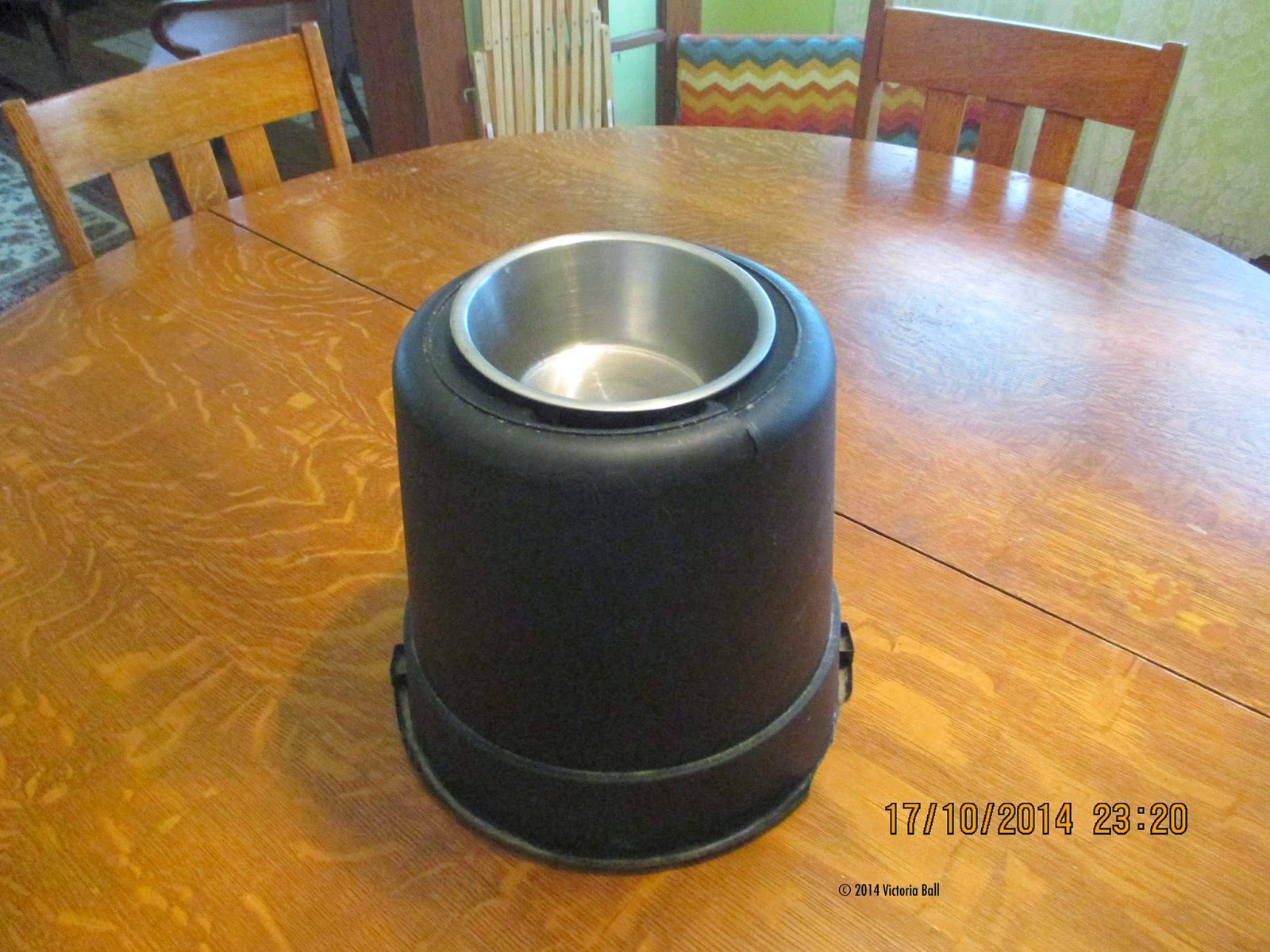 The Husky Review Top Paw Elevated Double Dog Feeder