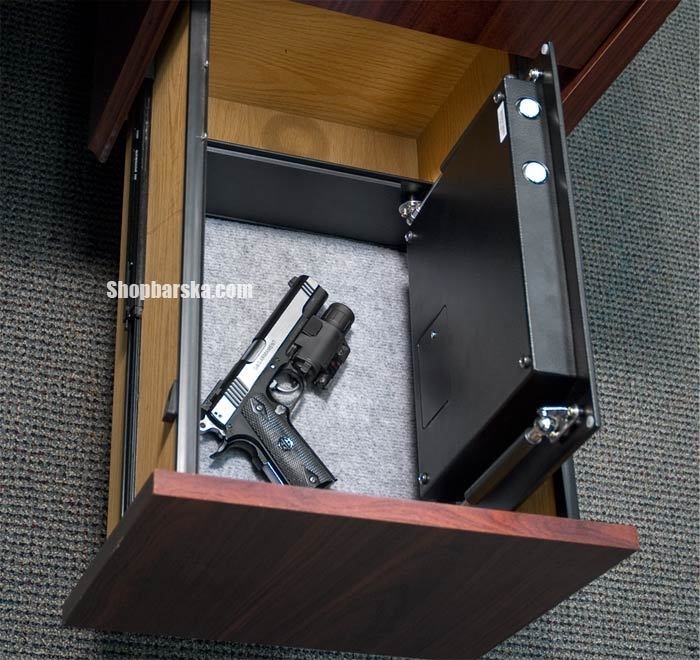 Your Safes Online A Biometric Safe Reasons To Purchase