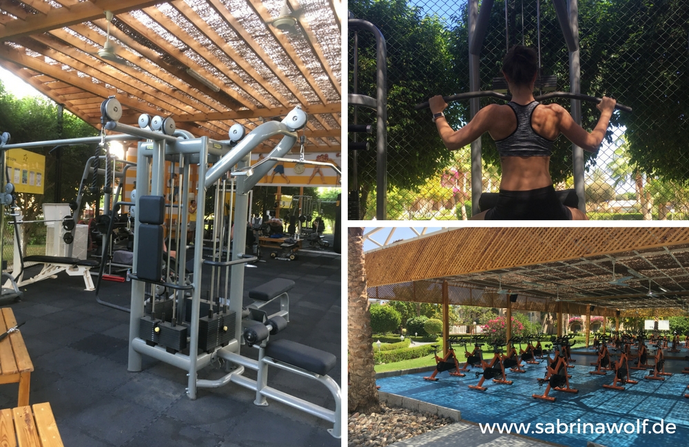 Https Goessler Files Wordpress Com 2016 05 Dilomarbeit Online1 Pdf