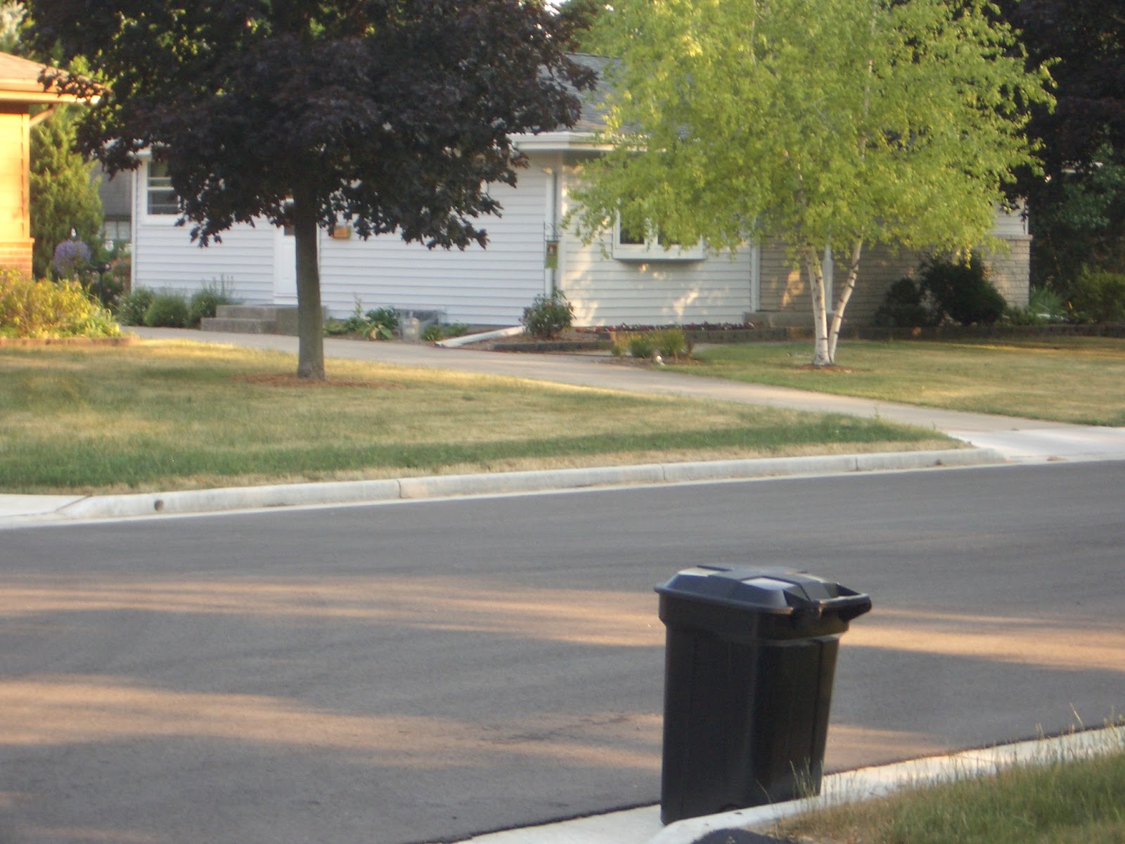 JUST DUCKY! Garden Thursday in Honor of Ducky's Purrthday
