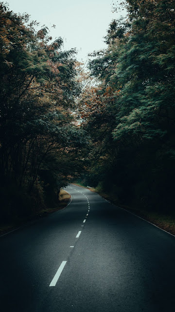 Free Wallpaper Road, Asphalt, Forest, Trees