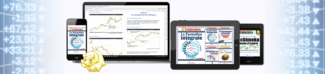 FORMATION-INTEGRALE-TRADOSAURE-PROMO