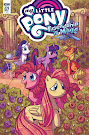 My Little Pony Friendship is Magic #67 Comic Cover Retailer Incentive Variant