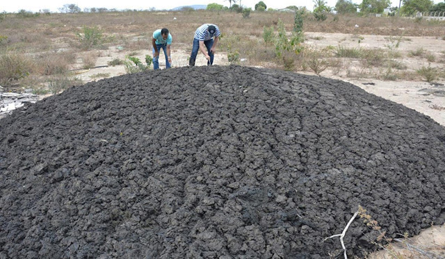 Prefeitura de Feira de Santana apura origem de resíduo não identificado deixado em estrada