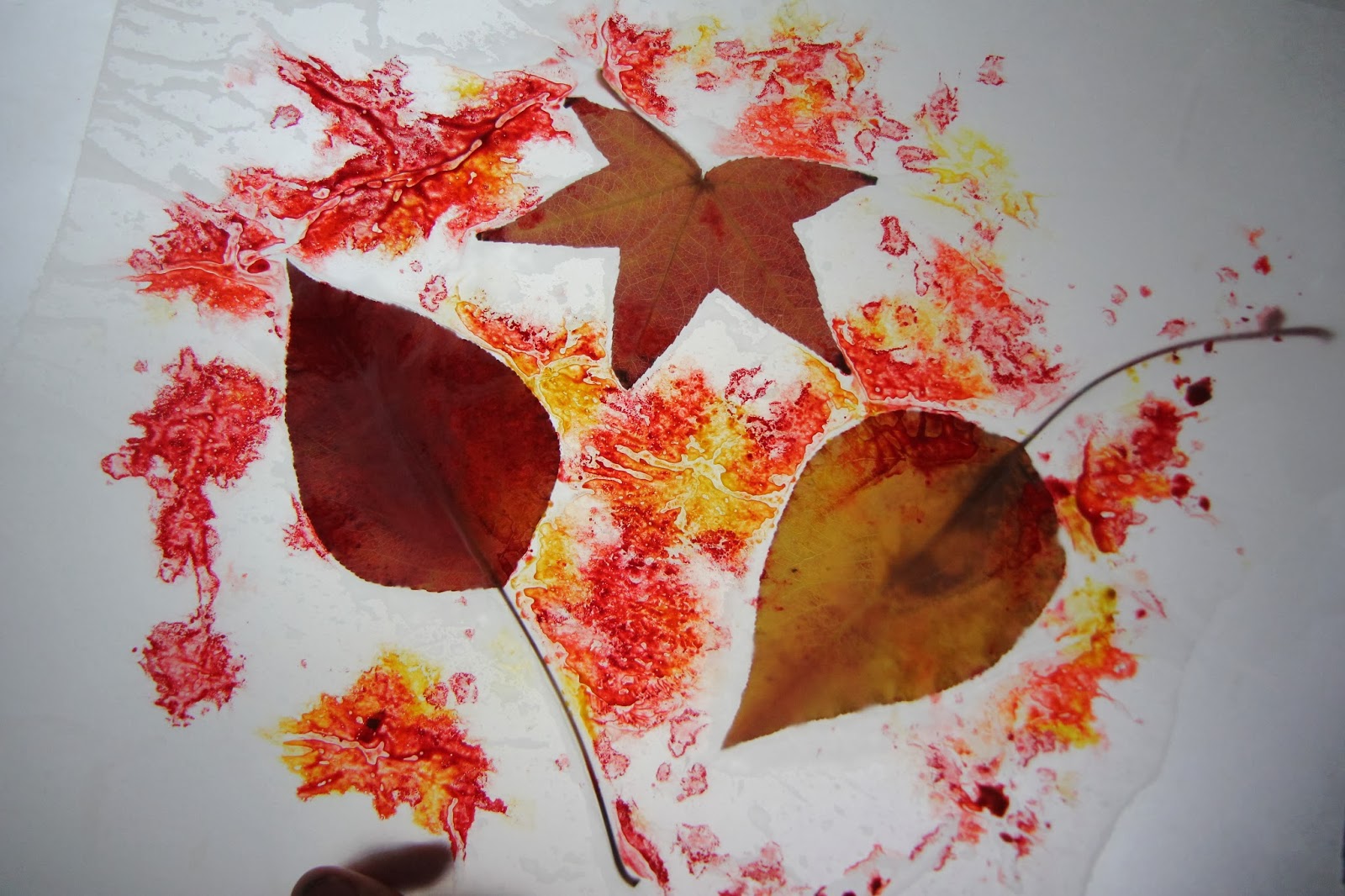 Toddler Approved! Fall Leaf Color Hunt & Wax Paper Creations