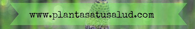 http://plantasatusalud.com/