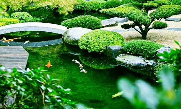 10 Desain Kolam Ikan Hias Depan Rumah Idaman ~ Taman Rumah