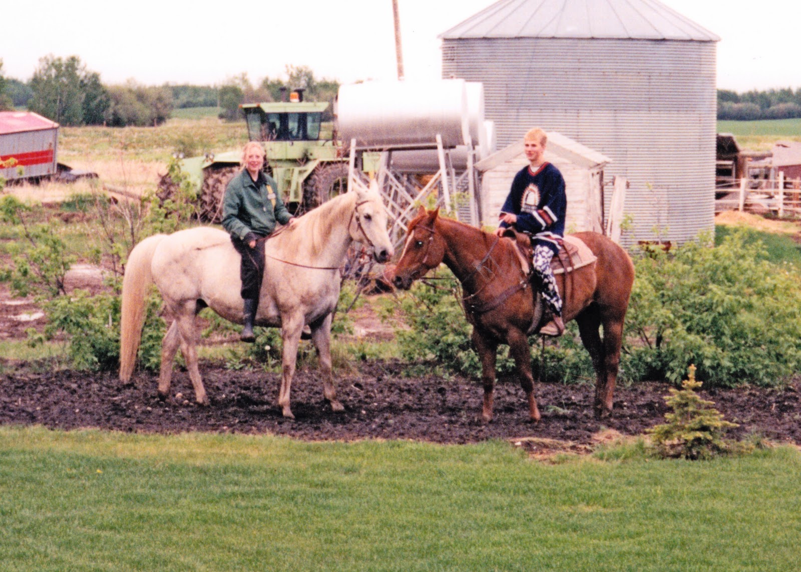 Dream. Horse. Human.