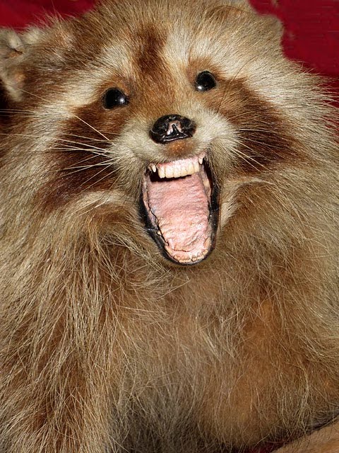 EV Grieve: The photography of Steven Hirsch