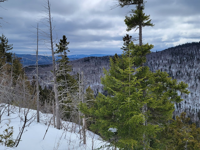 Au sommet du mont de l'Envol