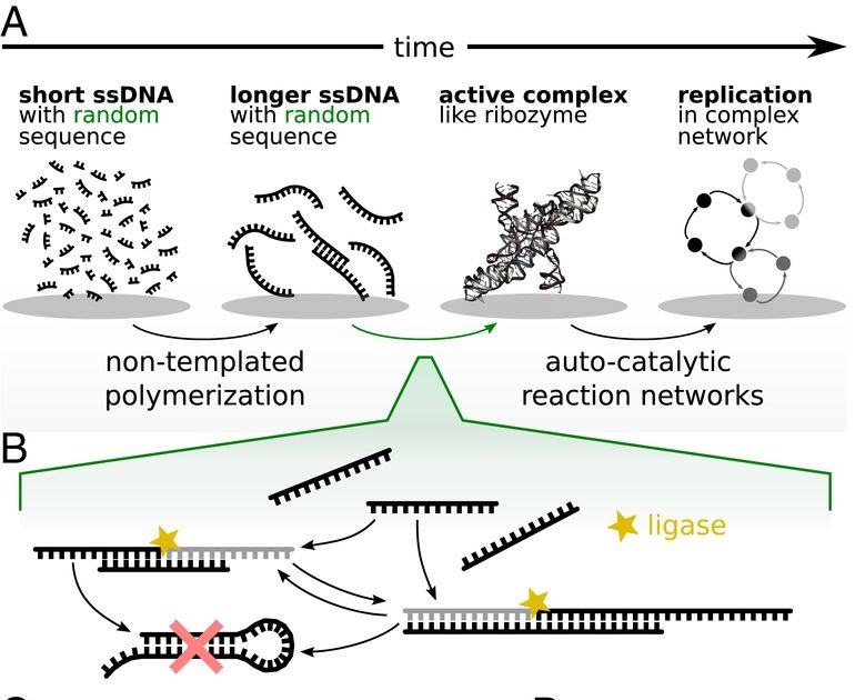 Random sequence. Random sequence. Random sequence. Принцип работы рандома. Генератор м-последовательности.