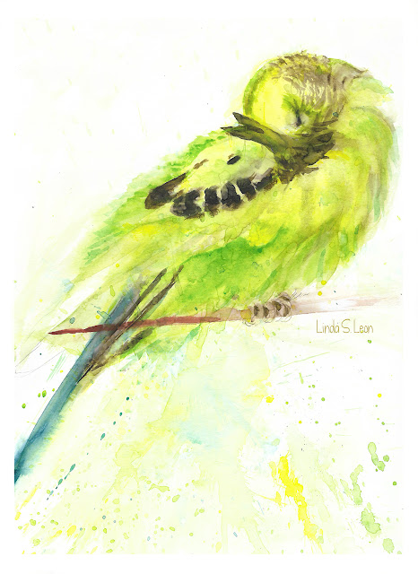 Grasparkiet - Aquarel door Linda S. Leon op https://tussendelijntjes.blogspot.com/