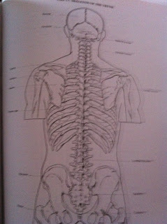 Term 1: Advanced Skills: October 2011