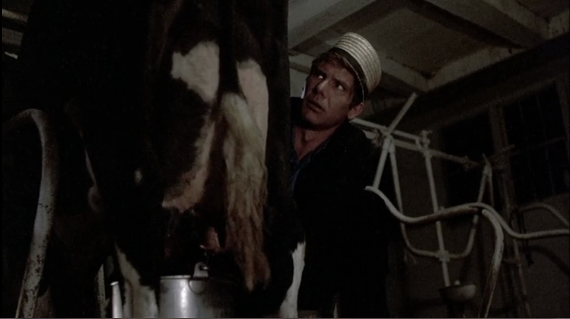 Dancin Dan On Film Hit Me With Your Best Shot Witness