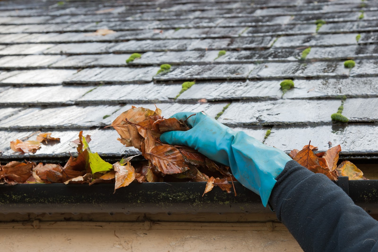 7 Tips For Keeping Your Gutters Debris Free