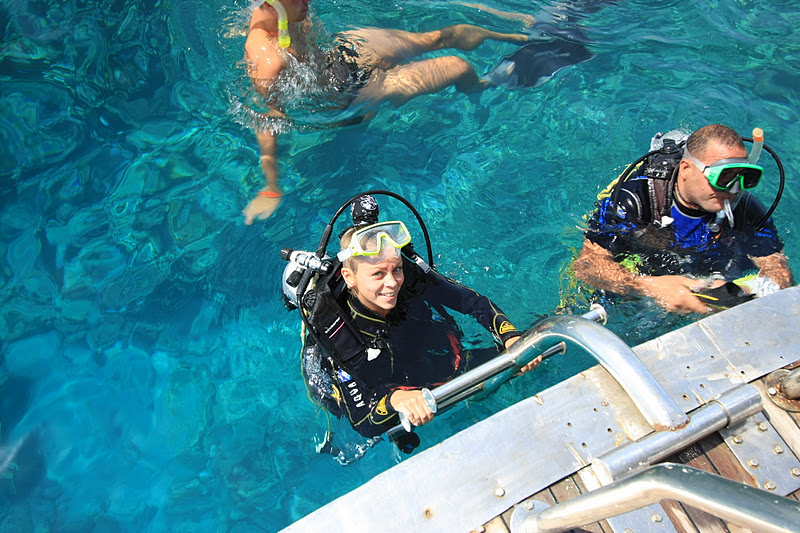 diver diva download free diver diva download free
