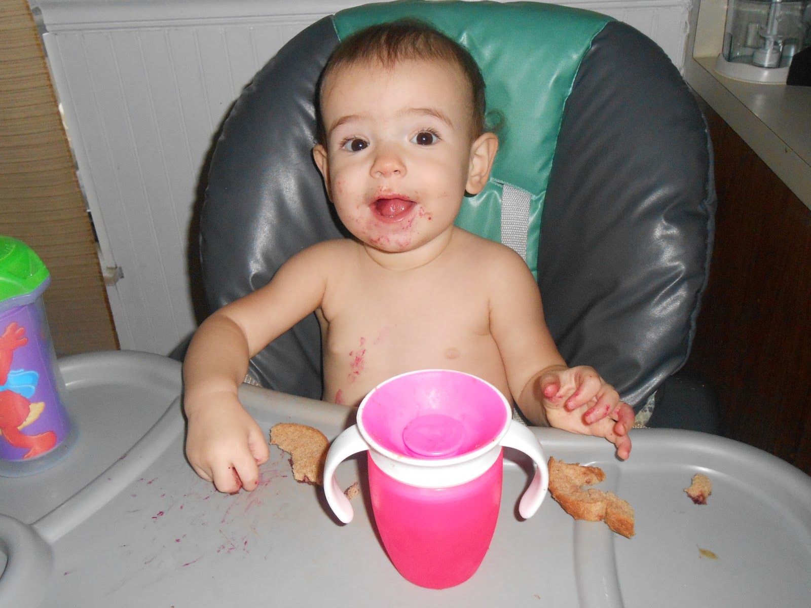 Kara's Family Eats Frozen Yogurt Drops for Babies and Toddlers!