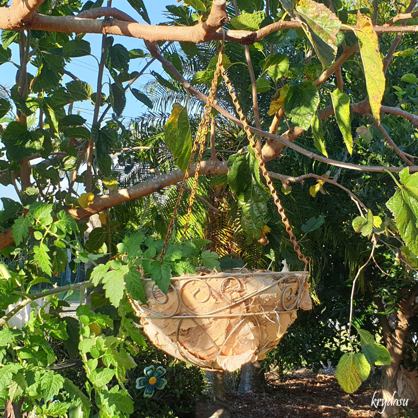 Krydasu Paperbark hanging basket liner