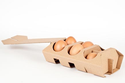 egg packaging design