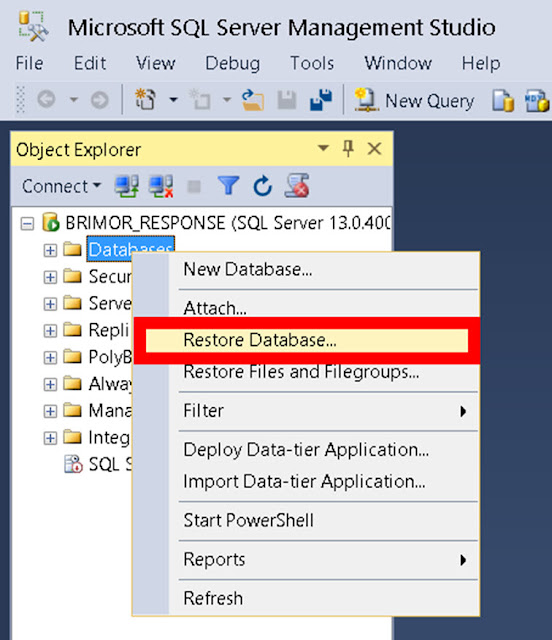BriMor Labs: How to load a SQL .bak file for analysis, without SQL ...
