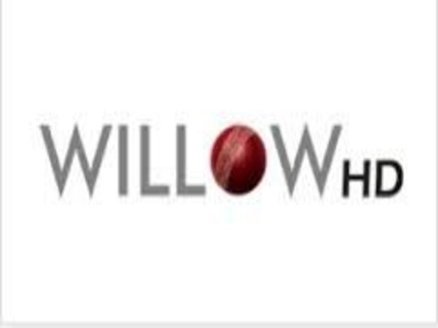 WILLOW CRICKET