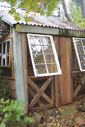 chicken coop repurposed diy windows materials chinoiserie building open tara dillard window wire coops houses chickens ventilation cured entire once