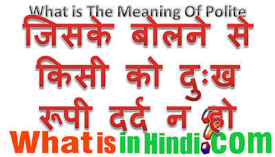 What is the meaning of Polite in Hindi