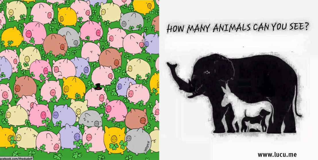 Apple worksheets for kids. How many can you see перевод. Картинка how many animals. How many can you see перевод. Карточки школьные принадлежности для дошкольников.