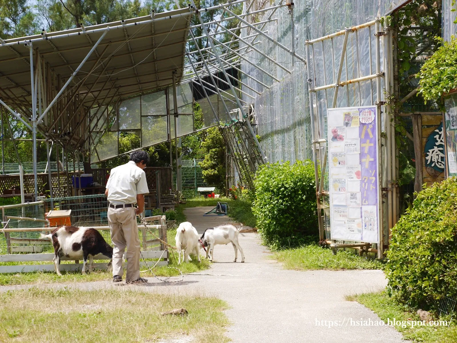 沖繩-景點-推薦-體驗王國MURASAKI村-体験王国 むら咲むら-自由行-旅遊-Okinawa
