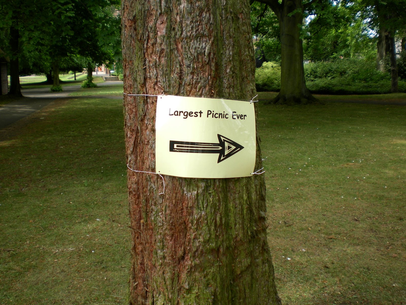 The Ham and Egger Files Happy National Picnic Day