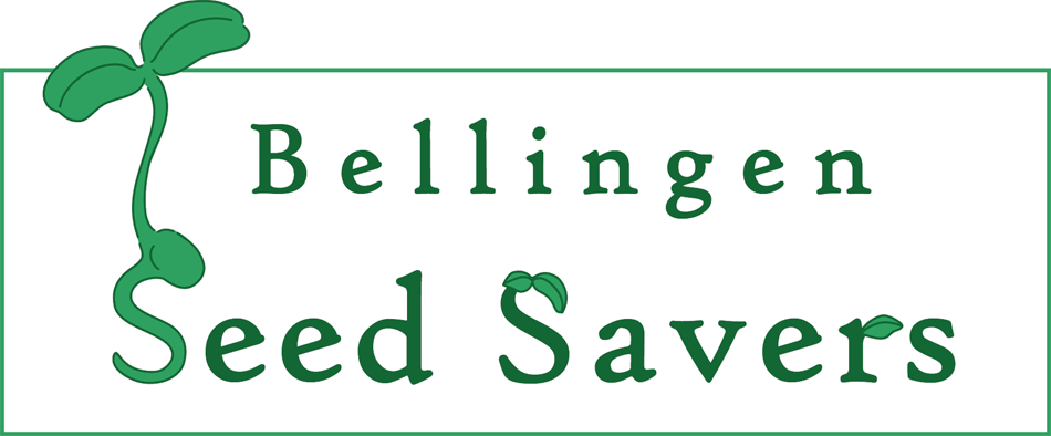 Bellingen Seed Savers Website