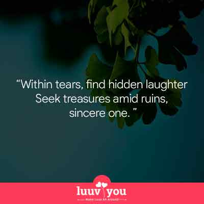 best Rumi Quotes