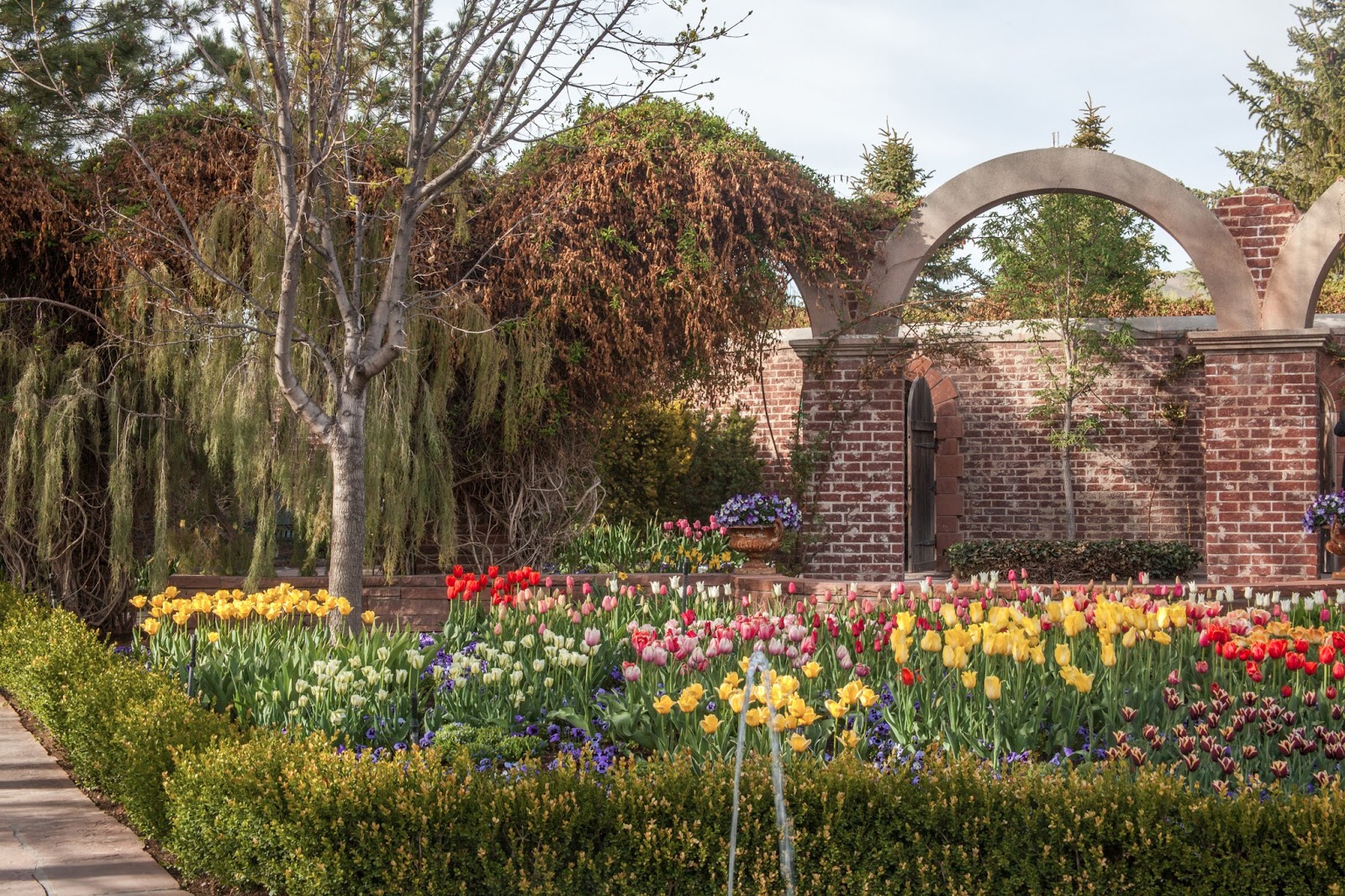 My Musings Tulip Festival at Thanksgiving Point