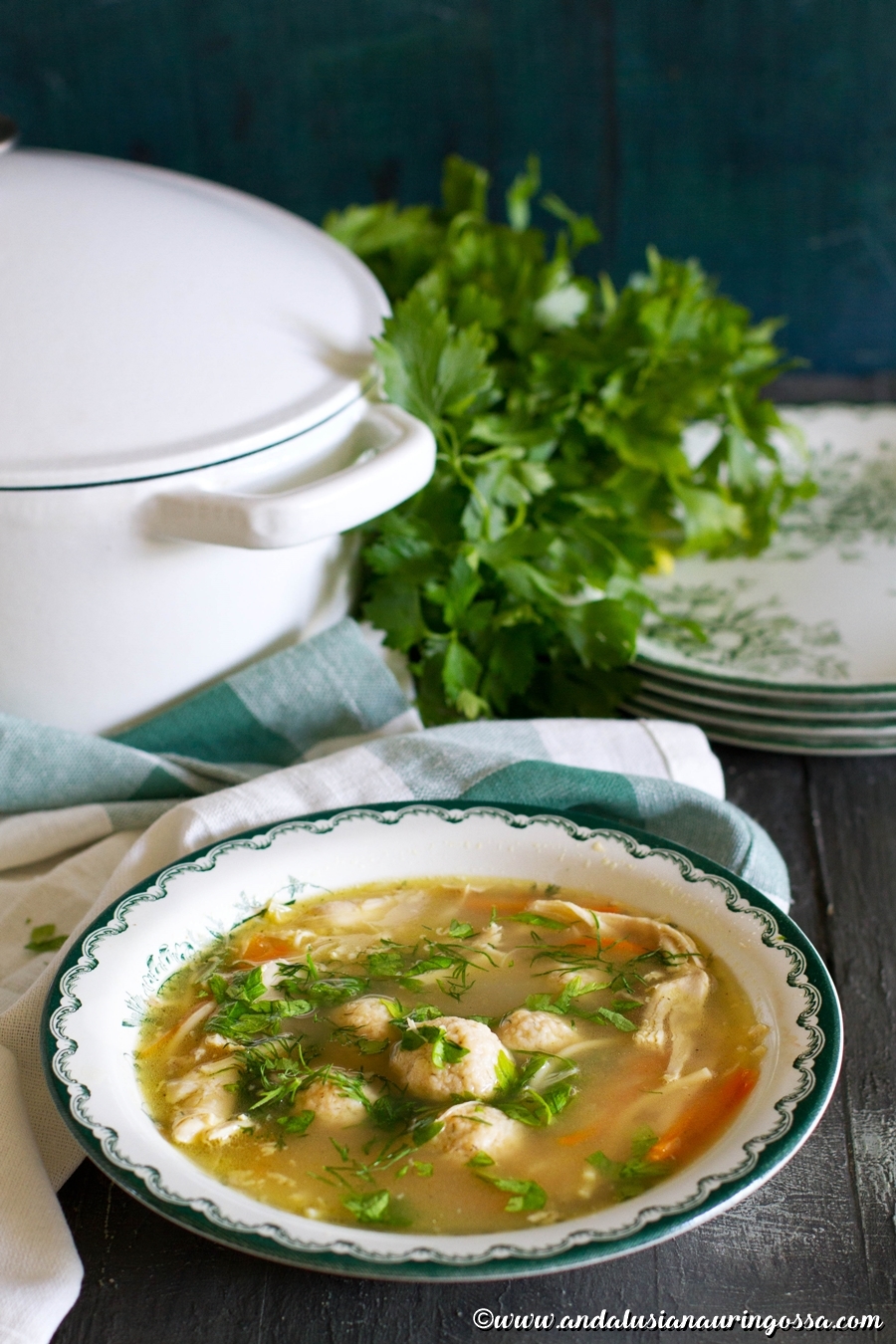 Under the Andalusian Sun Jewish penicillin Jiddishe Mama's chicken