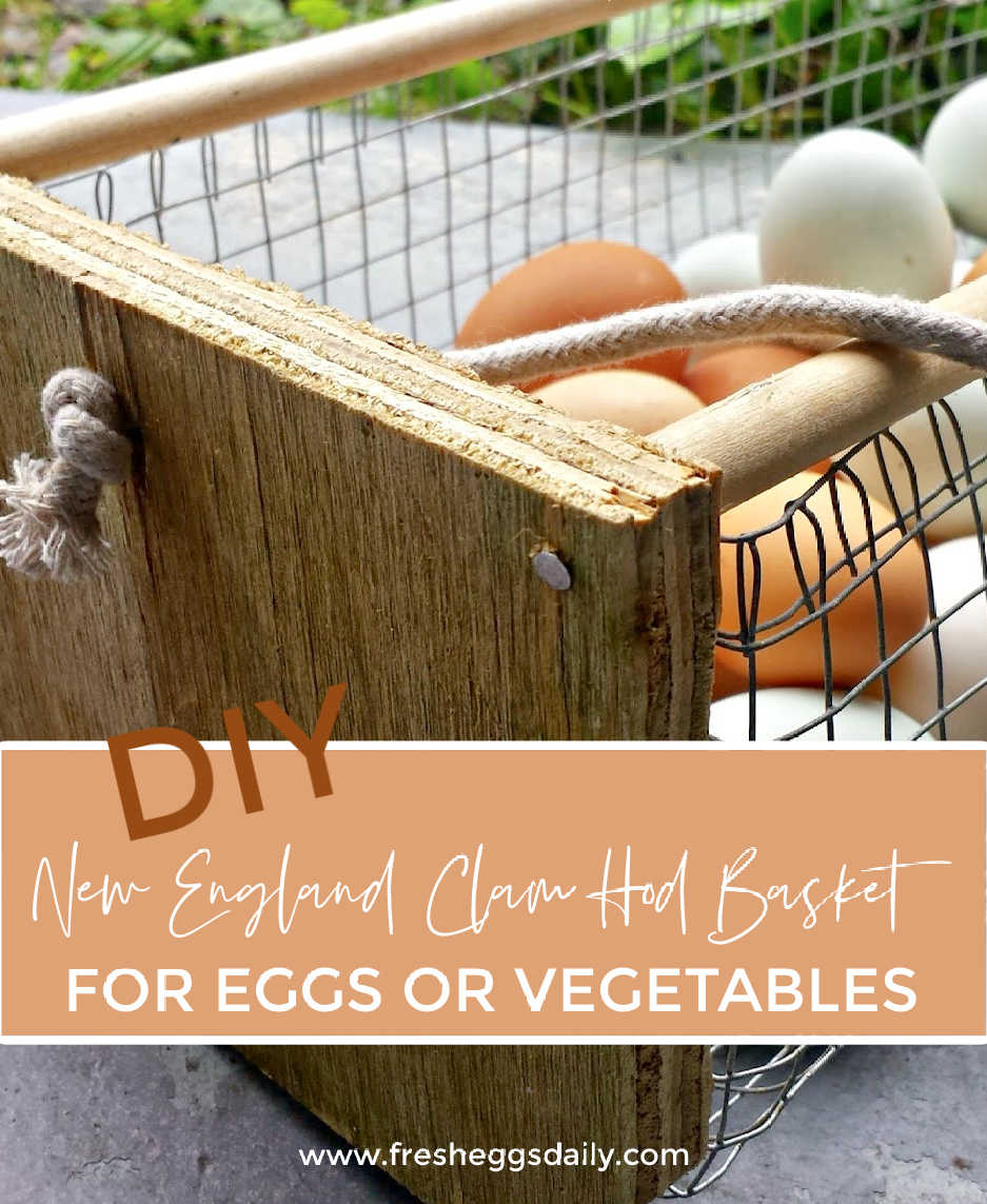 DIY Wood and Wire New England Clam Hod Egg Basket - Fresh Eggs Daily® with  Lisa Steele