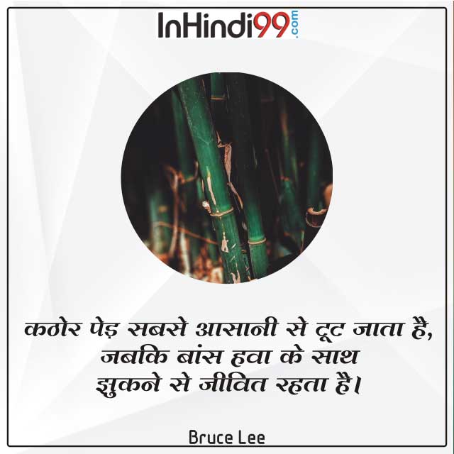 25+Tree quotes In hindi पेड़ पर सर्वश्रेष्ठ सुविचार, अनमोल