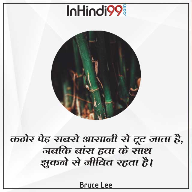 25+Tree quotes In hindi | पेड़ पर सर्वश्रेष्ठ सुविचार, अनमोल वचन