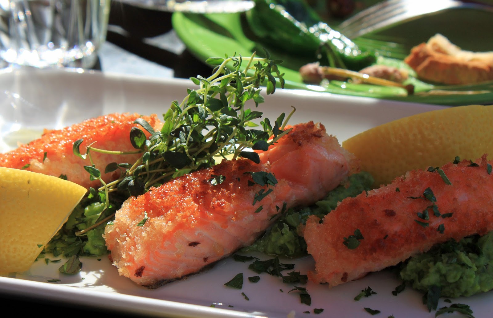 Gourmet Salmon Recipe