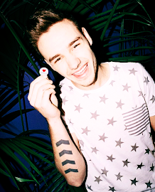 Liam Payne