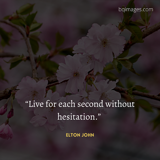 50+ Best Life Quotes In English for WhatsApp DP bqimages Beautiful