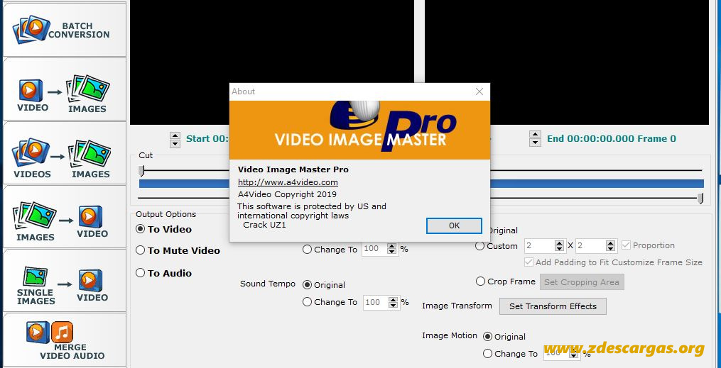 Video Image Master Pro Full